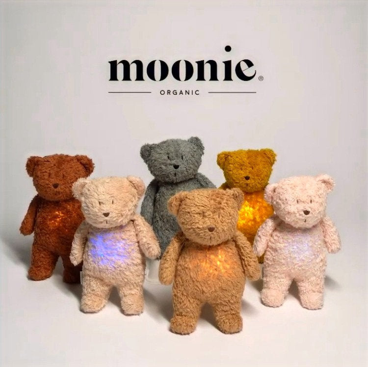 6 oursons Moonie dans différent coloris