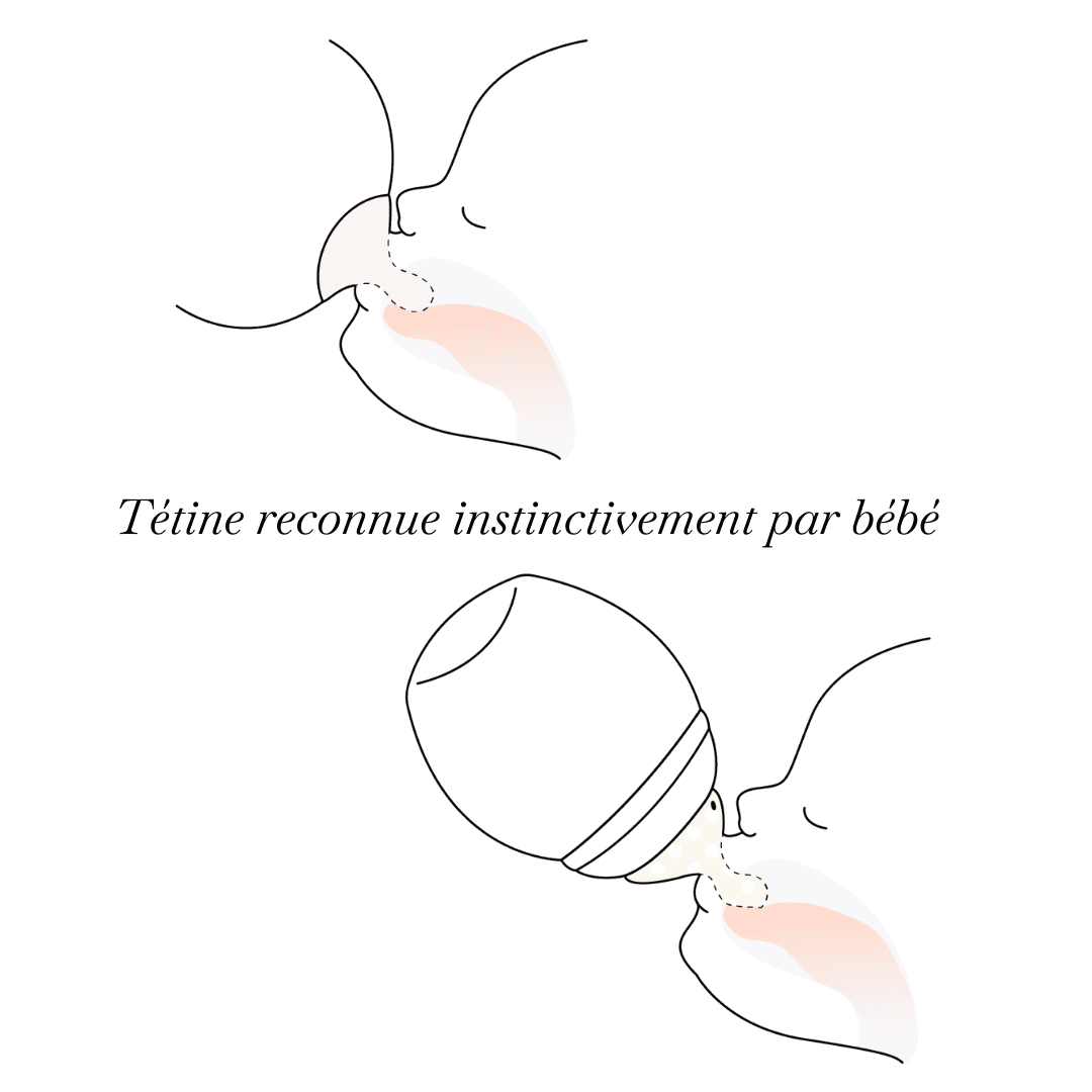 Lot de 2 Tétines Physiologiques Elhée – Débit au choix (XS, S, M, L)