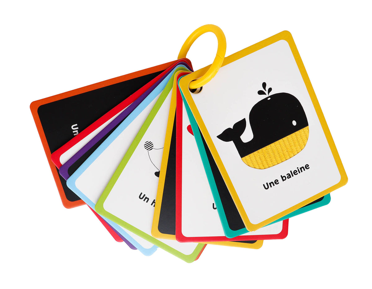 Mes Premières Cartes pour Éveiller Bébé – Imagier Sensoriel Noir & Blanc