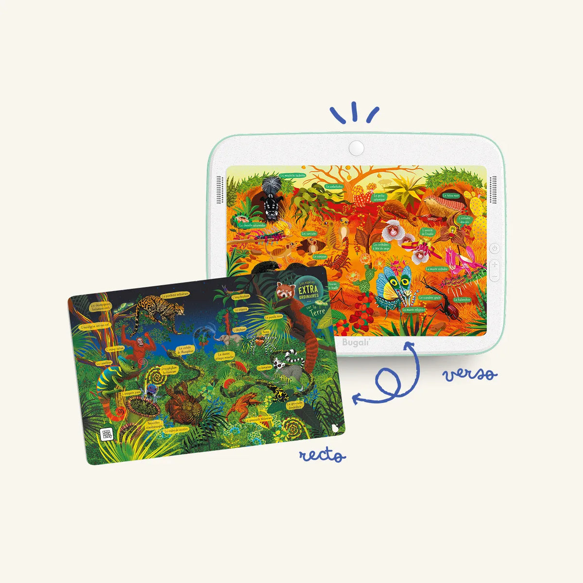Coffret 5 Cartes Interactives Zoom – Compatible Console Bugali