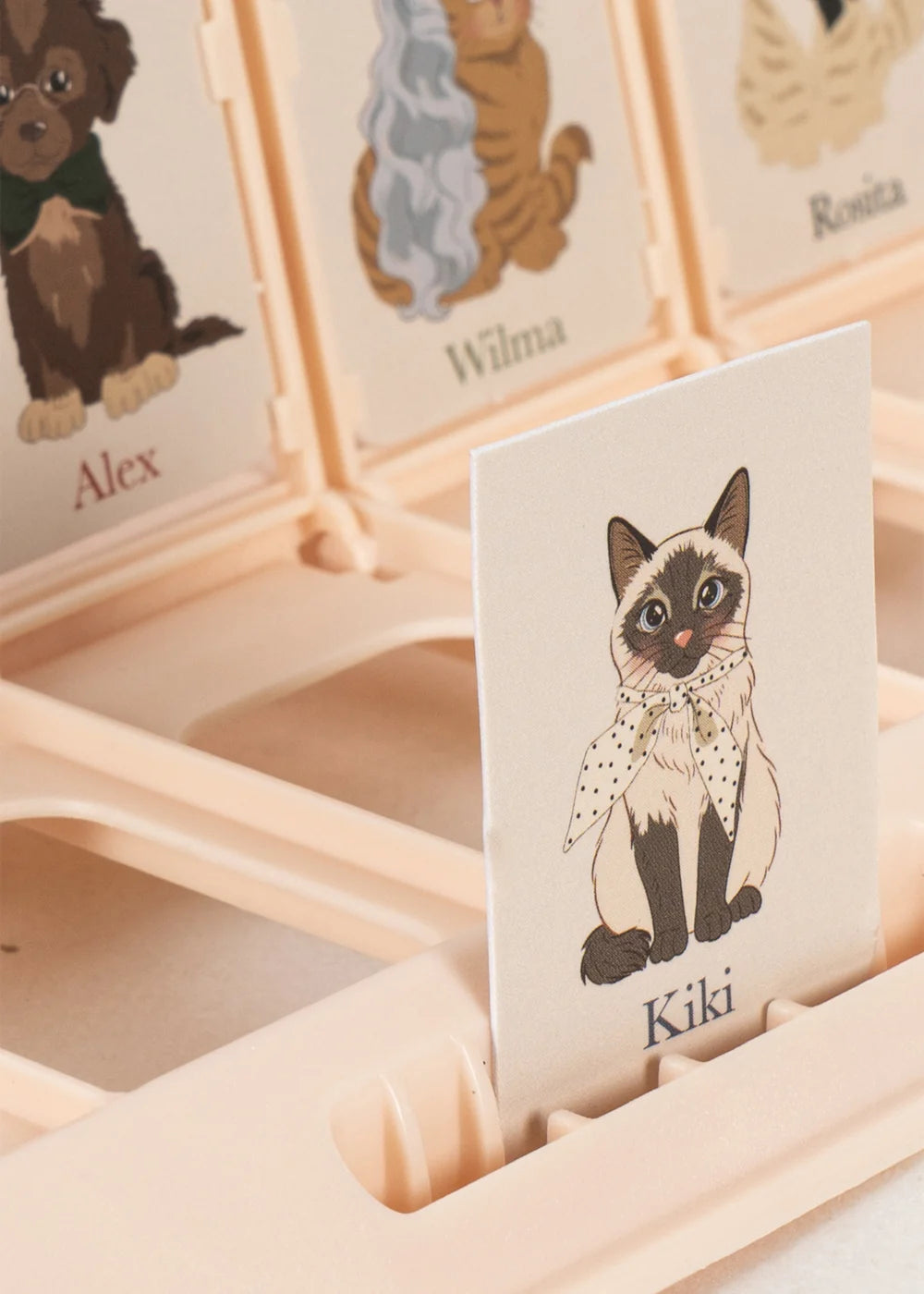 Jeu Qui suis-je ? Konges Sløjd – Jeu de devinettes dès 6 ans
