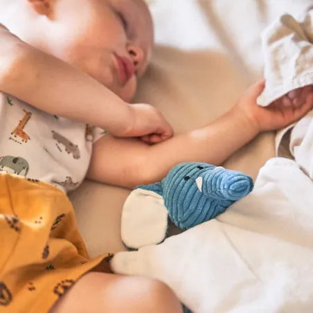 Bouillotte Bébé Peluche Micro-ondable – Fabriquée en France | PELUCHO