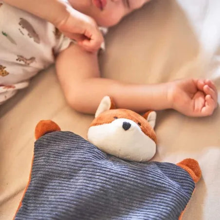 Bouillotte Bébé Peluche Micro-ondable – Fabriquée en France | PELUCHO