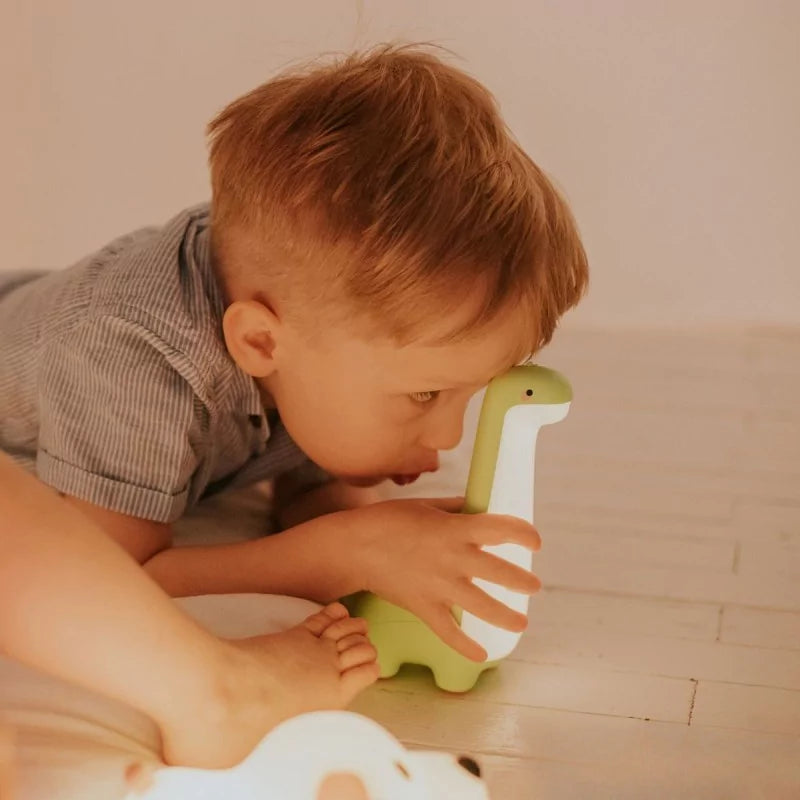 Lampe LED Dinosaure – Veilleuse Rechargeable pour Enfant